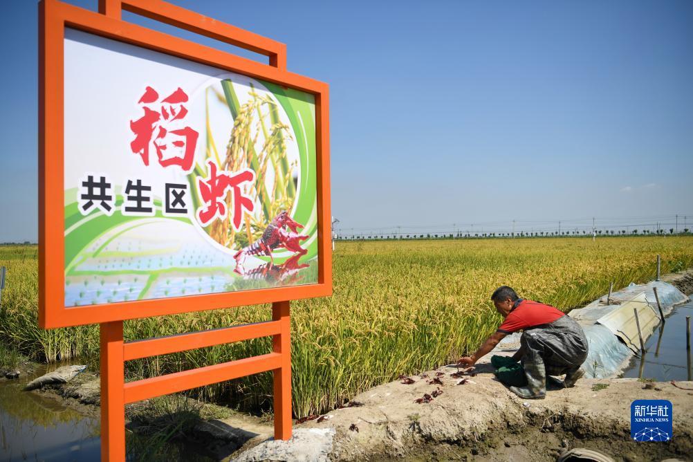 大西洋老虎机登陆平台